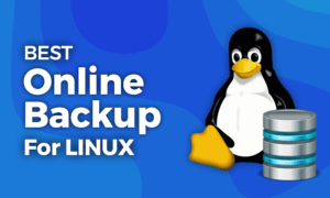 Best Online Backup for Linux