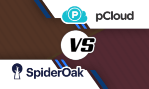 pCloud vs SpiderOak