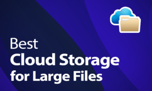 best cloud storage for large files