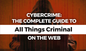 cybercrime guide
