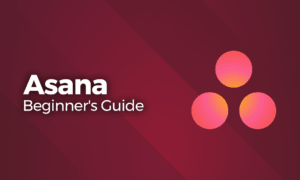 Asana Beginner's Guide
