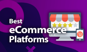 Best Ecommerce Platforms