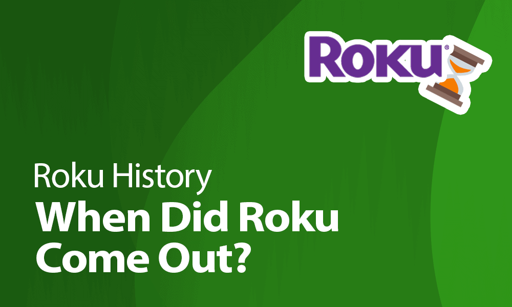 when did roku come out history